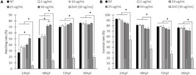 In vivo Evaluation of Non-viral NICD Plasmid-Loaded PLGA Nanoparticles in Developing Zebrafish to Improve Cardiac Functions